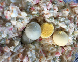 Foto del paso 7 de la receta: Ensaladilla rusa