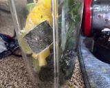 Foto del paso 4 de la receta: Green Smoothie PacksJugo Verde DETOX