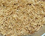 A picture of step 11 of Choshi Payesh.