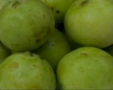ड्राई भरवां टिंडे (Dry Bharwan tinde recipe in Hindi) रेसिपी चरण 1 फोटो