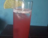 Foto del paso 3 de la receta: Bay breeze (bebida)