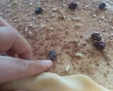 Foto del paso 9 de la receta: Roles de canela