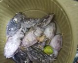 Foto langkah ke 1 dari resep Tumis Balakutak hitam.