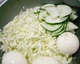 Coleslawmatakin girki1 hoto