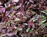 A picture of step 1 of Keerai Saaru Red Amaranthus.