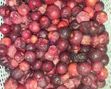 A picture of step 1 of Falsa Soda.