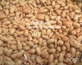 Foto langkah ke 6 dari resep 210. Kacang Bawang.