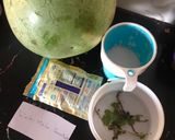 A picture of step 1 of Watermelon smoothie.