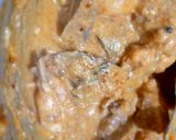 শাহী চিকেন কোর্মা(Shahi Chiken korma recipe in Bengali) রেসিপির ধাপ 4 ছবি