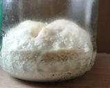 Lievito Madre kovász recept fázis 12 fotója