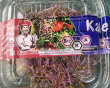 Foto del paso 1 de la receta: Ensalada de lentejas con huevo duro y germinado de kale