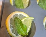 Foto del paso 2 de la receta: Cubitos de hielo con tónica y cítricos