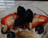 Foto del paso 5 de la receta: Carlota de yogurt (postre / opción sana)