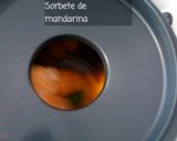 Foto del paso 3 de la receta Sorbete de Mandarina sin Azúcar de Paufeel