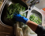 Foto del paso 1 de la receta: Pesto de menta y ortiga