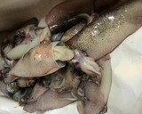 Foto del paso 2 de la receta: Chipirones encebollado