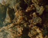 Foto langkah ke 5 dari resep Dendeng sapi balado simple.