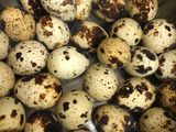 🌶ไข่นกกระทาดองซีอิ๊ว 🥚