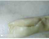 गाजर का मुरब्बा (Gajar Ka Murabba recipe in hindi) रेसिपी चरण 3 फोटो