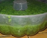 Foto langkah ke 14 dari resep Puding lumut cepat mudah murah.