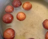ગુલાબ જાંબુ શોટ (ગુલાબ Jamun Shots Recipe In Gujarati) રેસીપી સ્ટેપ2ફોટો