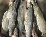 A picture of step 1 of Parshe (Fish) Fry.