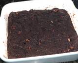 Pecan Brownies recipe step 5 photo