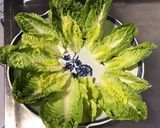 Une image de l'étape 8 de Salade de radis roses au thon et piment d espelette.