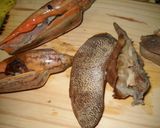 Foto del paso 2 de la receta: Caracoles grandes de mar a la provenzal
