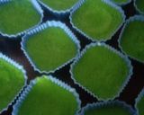 Gambar langkah 2 resipi Kuih kaswi pandan.