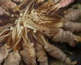 Foto langkah ke 2 dari resep Beef Enoki Saus Tiram.