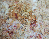 ક્રિસ્પી ખાખરા (crispy khakhra in Gujarati recipe) રેસીપી સ્ટેપ3ફોટો