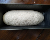 Foto del paso 4 de la receta: Pan de trigo blanco y masa madre de centeno