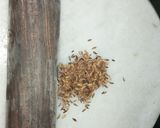 A picture of step 4 of Tempting flavor ingredient fried Cumin seeds.