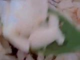 شوربة كريمة البصل