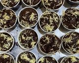Foto langkah ke 4 dari resep CupCake Coklat (Muffin).
