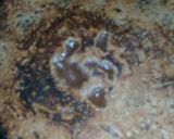A picture of step 4 of Chocolate Pancakes.