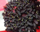 Foto del paso 1 de la receta: Jalea/ mermelada de moras