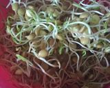 Foto del paso 1 de la receta Arroz salvaje con quinoa y brotes de lenteja