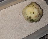 Foto del paso 6 de la receta: Bombas de papa y queso