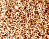 A picture of step 5 of Murmura Chikki - Puffed Rice Jaggery Chikki - Mamra Chikki.