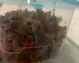 Foto langkah ke 5 dari resep Tumis ikan jambrong asin manis asam pedas (awet 1 minggu).