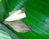 Foto langkah ke 5 dari resep Botok Daun Mengkudu Teri Medan.