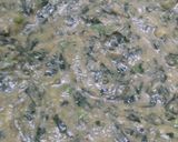 મેથી મટર પસંદા (Methi Matar Pasanda Recipe In Gujarati) રેસીપી સ્ટેપ5ફોટો