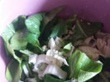 Capcay sosis