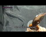 Foto langkah ke 6 dari resep Roti O/boy/kopi homemade mirip banget.
