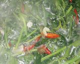 Foto langkah ke 3 dari resep Tumis bayam sederhana.