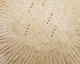 Foto del paso 3 de la receta: Shortbread de mi mamá