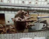 Фото кроку 6 до Шоколадный крем (самый вкусный!!!).