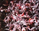 A picture of step 1 of Hibiscus drink(zobo).